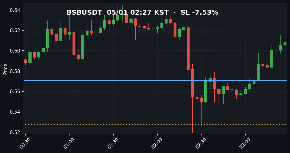 BSBUSDT 3분봉