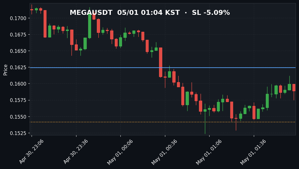 MEGAUSDT 3분봉