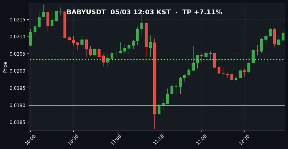 BABYUSDT 3분봉