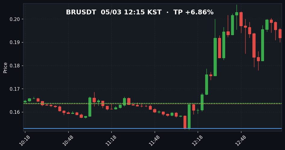 BRUSDT 3분봉