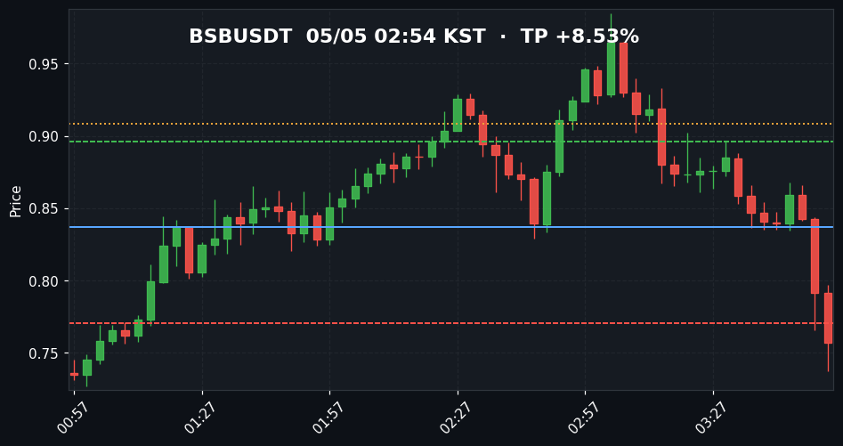 BSBUSDT 3분봉