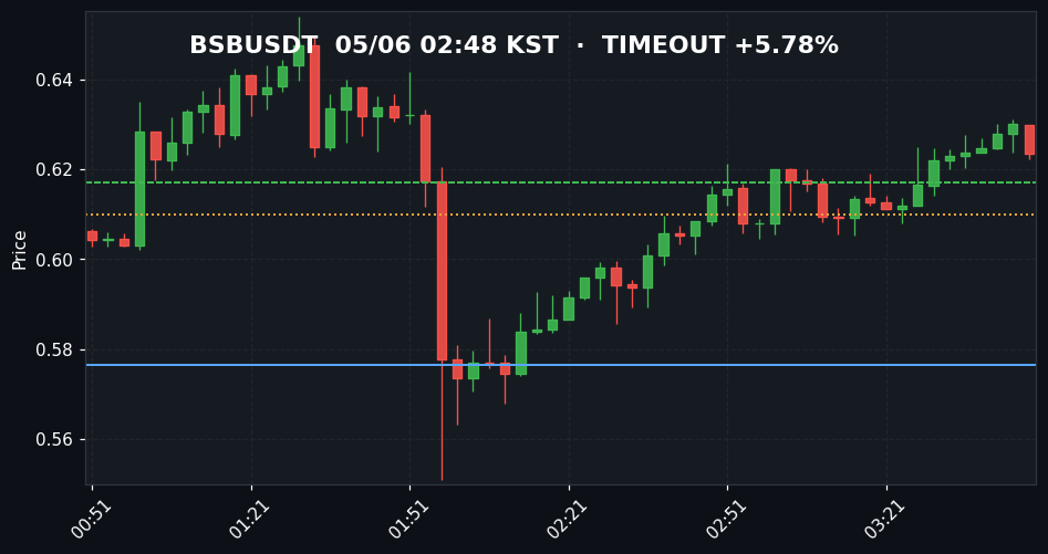 BSBUSDT 3분봉