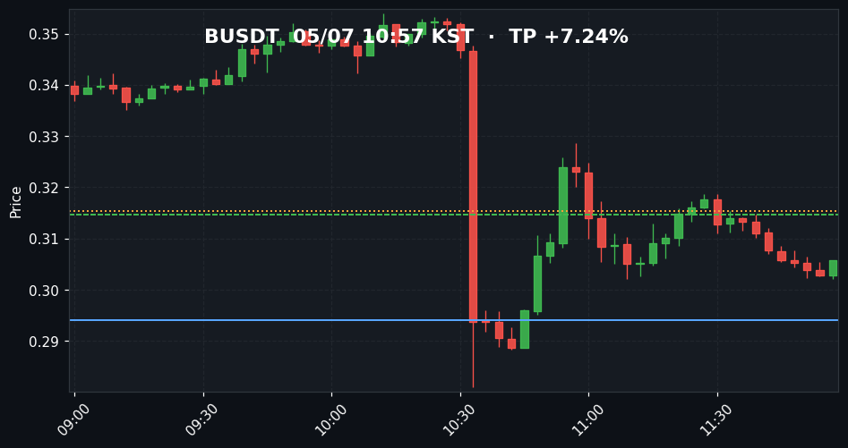 BUSDT 3분봉